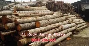 Read more about the article Kayu Seseh Bulat (Kayu Kelapa): Keunikan dan Manfaatnya